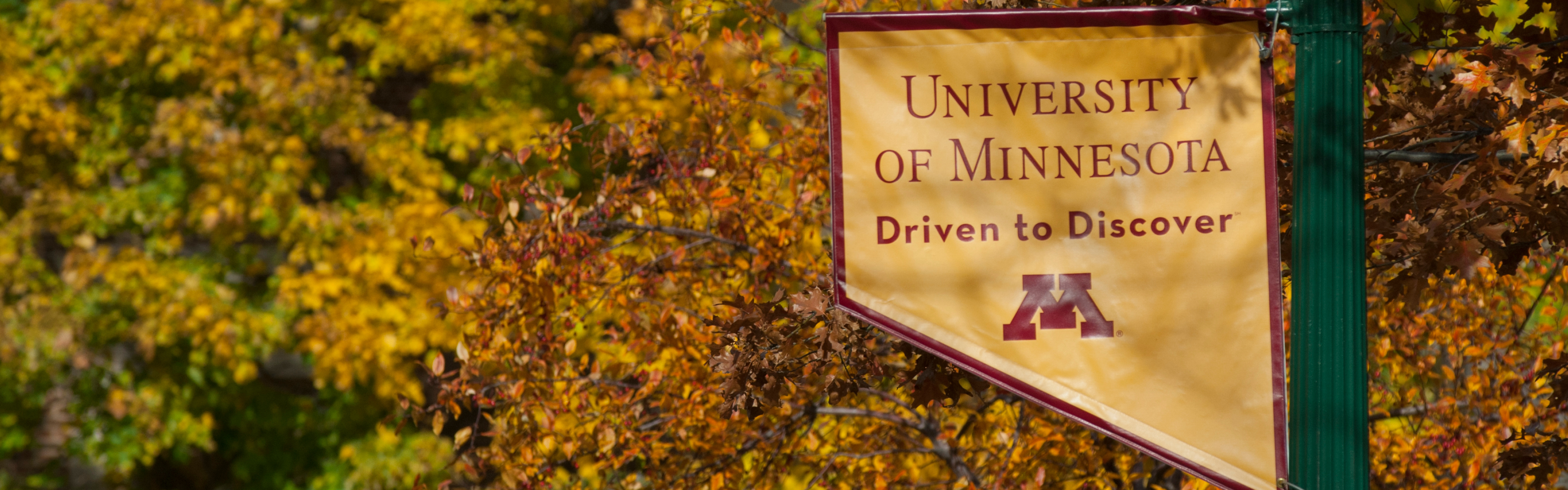 Flag with the text "University of Minnesota - Driven to Discover" with a block M.